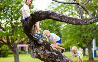 kids climbing a tree